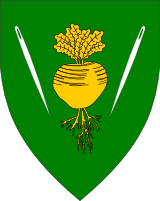 Arms Image