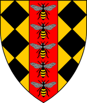 Arms Image